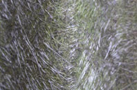 New Brinsley fibreglass roof work